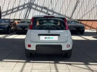 Usata Fiat Panda S 69 CV (50 kW) 2024 Bianco Utilitaria