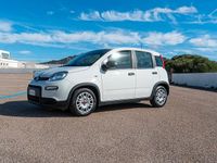 Usata Fiat Panda S 70 CV (51 kW) 2024 Bianco Utilitaria