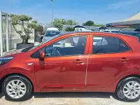 Usata Kia Picanto X-Line 67 CV (49 kW) 2023 Arancione Utilitaria