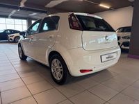 Usata Fiat Punto Evo Lounge 69 CV (50 kW) 2012 Bianco Utilitaria
