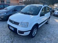 Usata Fiat Panda 4x4 75 CV (55 kW) 2007 Bianco Utilitaria