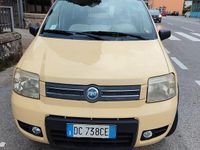 Usata Fiat Panda 4x4 60 CV (44 kW) 2006 Giallo Utilitaria