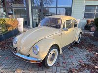 Usata VW Beetle 37 CV (27 kW) 1976 Bronzo Utilitaria
