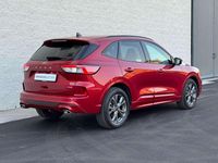 Usata Ford Kuga ST-Line X 152 CV (111 kW) 2022 Rosso SUV