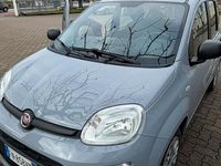 Usata Fiat Panda 95 CV (69 kW) 2018 Utilitaria