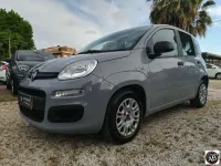 Usata Fiat Panda S 69 CV (50 kW) 2021 Grigio chiaro Utilitaria