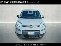 Usata Fiat Panda S 69 CV (50 kW) 2023 Grigio Utilitaria