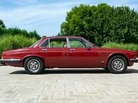 Usata Jaguar XJ6 205 CV (150 kW) 1981 Rosso Berlina