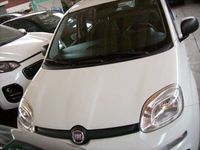 usata Fiat Panda 1.2 Lounge