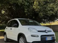 Usata Fiat Panda S 69 CV (50 kW) 2023 Bianco Utilitaria
