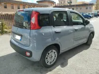 Usata Fiat Panda 70 CV (51 kW) 2021 Grigio Utilitaria