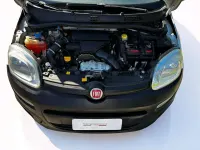 Usata Fiat Panda 4x4 Pop 80 CV (58 kW) 2016 Bianco Utilitaria