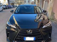 Usata Lexus NX350h 190 CV (139 kW) 2025 SUV