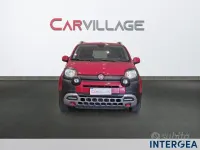 Usata Fiat Panda Cross Cross 70 CV (51 kW) 2023 Rosso Utilitaria