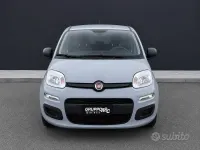 Usata Fiat Panda Connect 70 CV (51 kW) 2020 Grigio Utilitaria