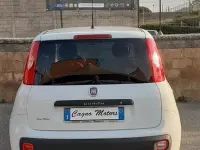 Usata Fiat Panda Lounge 80 CV (58 kW) 2018 Bianco Utilitaria