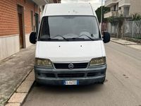 usata Fiat Ducato 15 Perfetto di meccanica nessun lavoro da effettuare