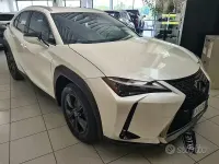Usata Lexus UX 152 CV (111 kW) 2024 Bianco SUV
