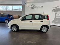 Usata Fiat Panda S 69 CV (50 kW) 2025 Bianco Utilitaria