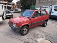 Usata Fiat Panda 4x4 Trekking 2002 Rosso Utilitaria