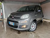 Usata Fiat Panda Lounge 69 CV (50 kW) 2020 Grigio Utilitaria