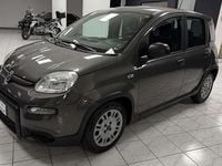 Usata Fiat Panda S 69 CV (50 kW) 2023 Grigio Utilitaria