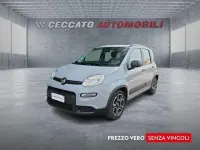 Usata Fiat Panda City Life 70 CV (51 kW) 2022 Grigio Utilitaria