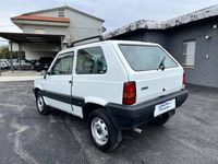 usata Fiat Panda 4x4 Panda 1.1 Fire Trekking cat.