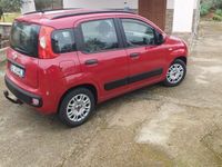 usata Fiat Panda Panda 1.3 MJTterza serie