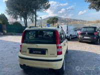 Usata Fiat Panda Dynamic 60 CV (44 kW) 2008 Giallo Utilitaria