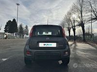 usata Fiat Panda 1.0 FireFly 70cv S&S Hybrid City Life