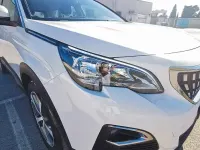 Usata Peugeot 3008 Allure 131 CV (96 kW) 2020 Bianco SUV