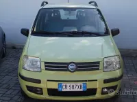 Usata Fiat Panda Dynamic 60 CV (44 kW) 2004 Verde Utilitaria