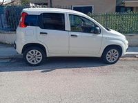 Usata Fiat Panda 70 CV (51 kW) 2019 Bianco Utilitaria