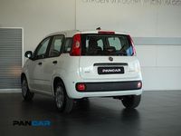 Nuova Fiat Panda S 69 CV (50 kW) 2025 Bianco Utilitaria