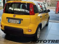 Nuova Fiat Panda Icon 65 CV (47 kW) 2026 Other Utilitaria