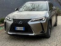 usata Lexus UX 300e Luxury