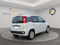 Usata Fiat Panda Easy 69 CV (50 kW) 2019 Bianco Utilitaria