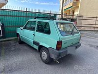 Usata Fiat Panda 54 CV (39 kW) 2003 Verde Utilitaria