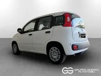 Nuova Fiat Panda Pop 65 CV (47 kW) 2026 Bianco gelato pastello Utilitaria