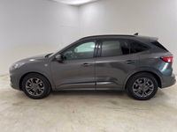 usata Ford Kuga 1.5 ecoblue st-line 2wd 120cv