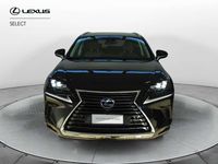 Usata Lexus NX300h Luxury Line 197 CV (144 kW) 2019 Nero SUV