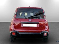 Usata Fiat Panda Cross Cross 69 CV (50 kW) 2025 Rosso Utilitaria
