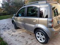 Usata Fiat Panda 4x4 Cross 69 CV (50 kW) 2007 Utilitaria