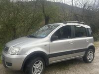 Usata Fiat Panda 4x4 2007 Utilitaria