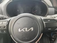 Gebraucht Kia Picanto 67 PS (49 kW) 2024 Weiß Kleinwagen
