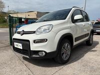 Usata Fiat Panda 4x4 S 75 CV (55 kW) 2013 Bianco Utilitaria