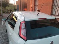 Usata Fiat Punto Evo 85 CV (62 kW) 2014 Bianco Utilitaria