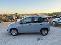 Usata Fiat Panda Easy 69 CV (50 kW) 2019 Grigio Utilitaria