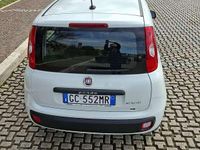 Usata Fiat Panda Easy 69 CV (50 kW) 2020 Bianco Utilitaria